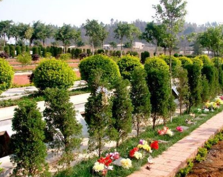 1571195540475859.png 2.png