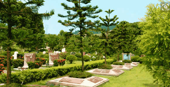 1571195552158838.png 3.png