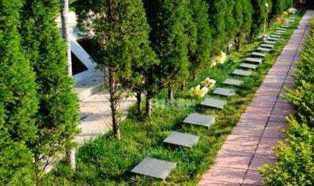 1571195563779543.png 1.png