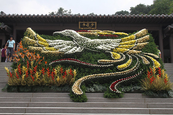 1573622293189716.jpg 2.jpg