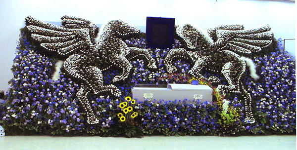 1573622310147990.jpg 7.jpg