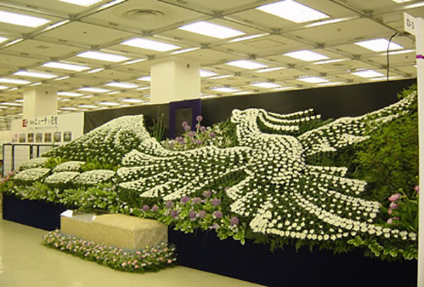 1573622321442425.jpg 6.jpg