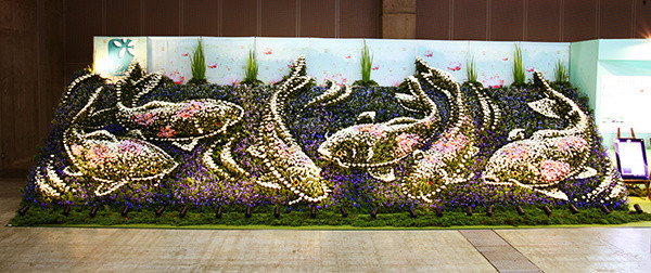 1573622353126551.jpg 9.jpg