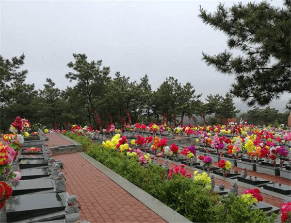 1578644690565589.png 44.png