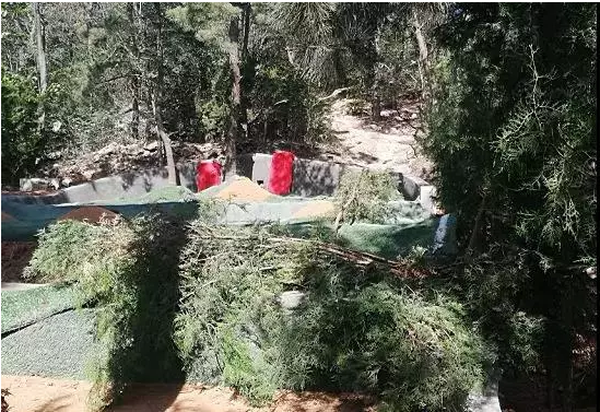 1583566773469348.png 89.png