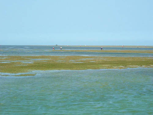 1584687969131940.jpg 222.jpg