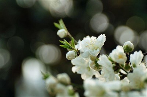 1597916319341018.jpg 00_副本.jpg