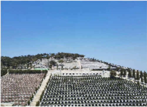 1598964893611754.jpg 222_meitu_2.jpg