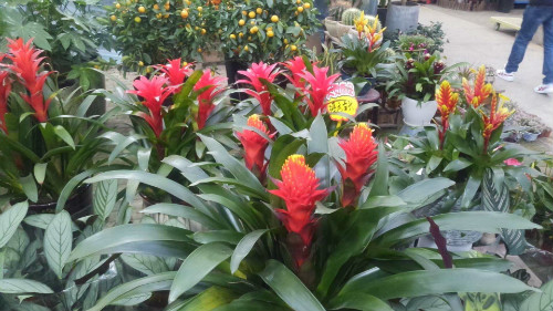 1599550337788976.jpg 22.jpg