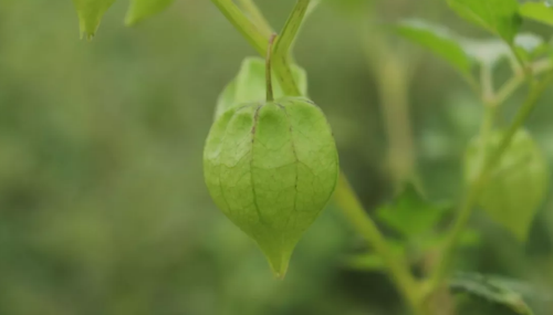 1602757378863244.png 2.png