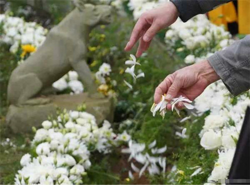 1606811001354948.jpg 01.jpg