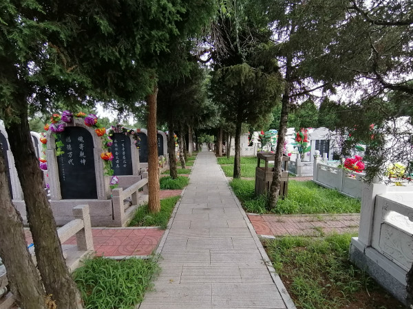 1617862819390057.jpg 01.jpg