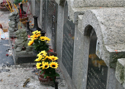 1623916098559375.jpg 03.jpg