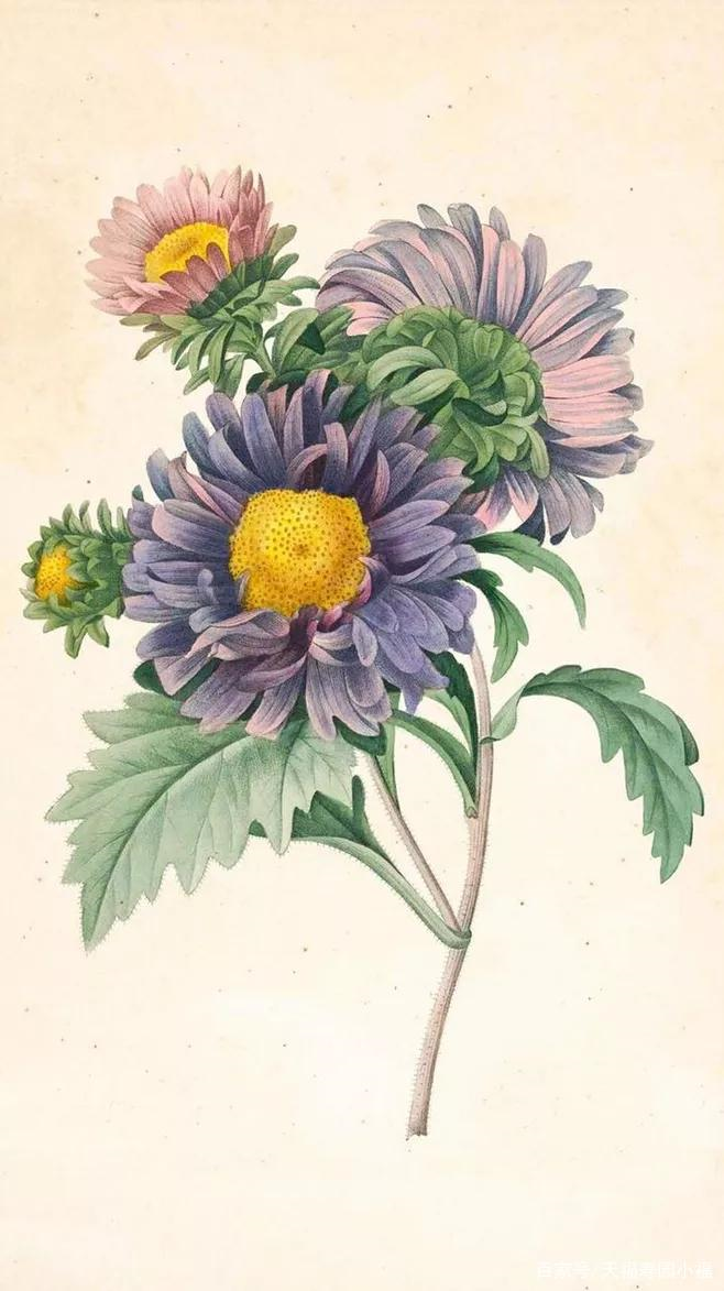 1626619491731475.png image.png