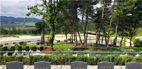 1631004971170793.jpg 4.jpg