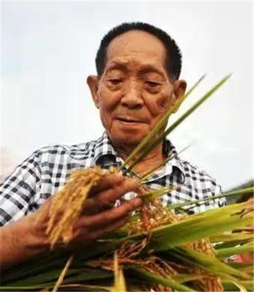 1636966220909310.png 44.png