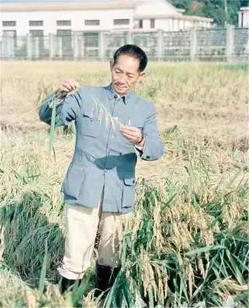 1636966228324195.png 55.png